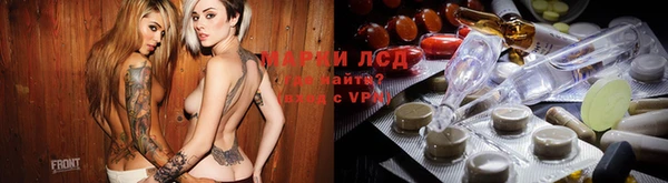 ГАЛЛЮЦИНОГЕННЫЕ ГРИБЫ Семёнов