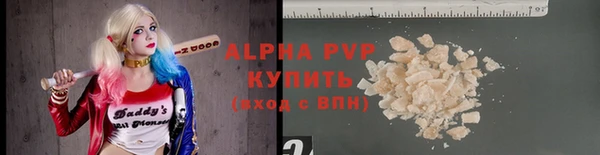 спиды Белокуриха