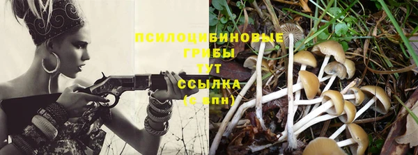 спиды Белокуриха